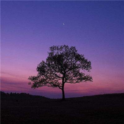 熊猫娱乐app手机app下载